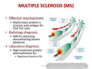 Autoimmune diseases | PPTX