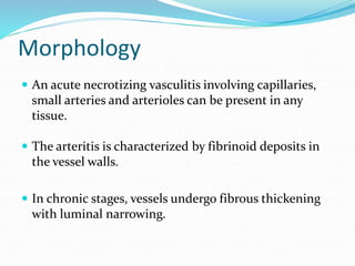 Morphology
 An acute necrotizing vasculitis involving capillaries,
small arteries and arterioles can be present in any
tissue.
 The arteritis is characterized by fibrinoid deposits in
the vessel walls.
 In chronic stages, vessels undergo fibrous thickening
with luminal narrowing.
 