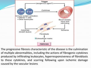The progressive fibrosis characteristic of the disease is the culmination
of multiple abnormalities, including the actions of fibrogenic cytokines
produced by infiltrating leukocytes, hyperresponsiveness of fibroblasts
to these cytokines, and scarring following upon ischemic damage
caused by the vascular lesions
 