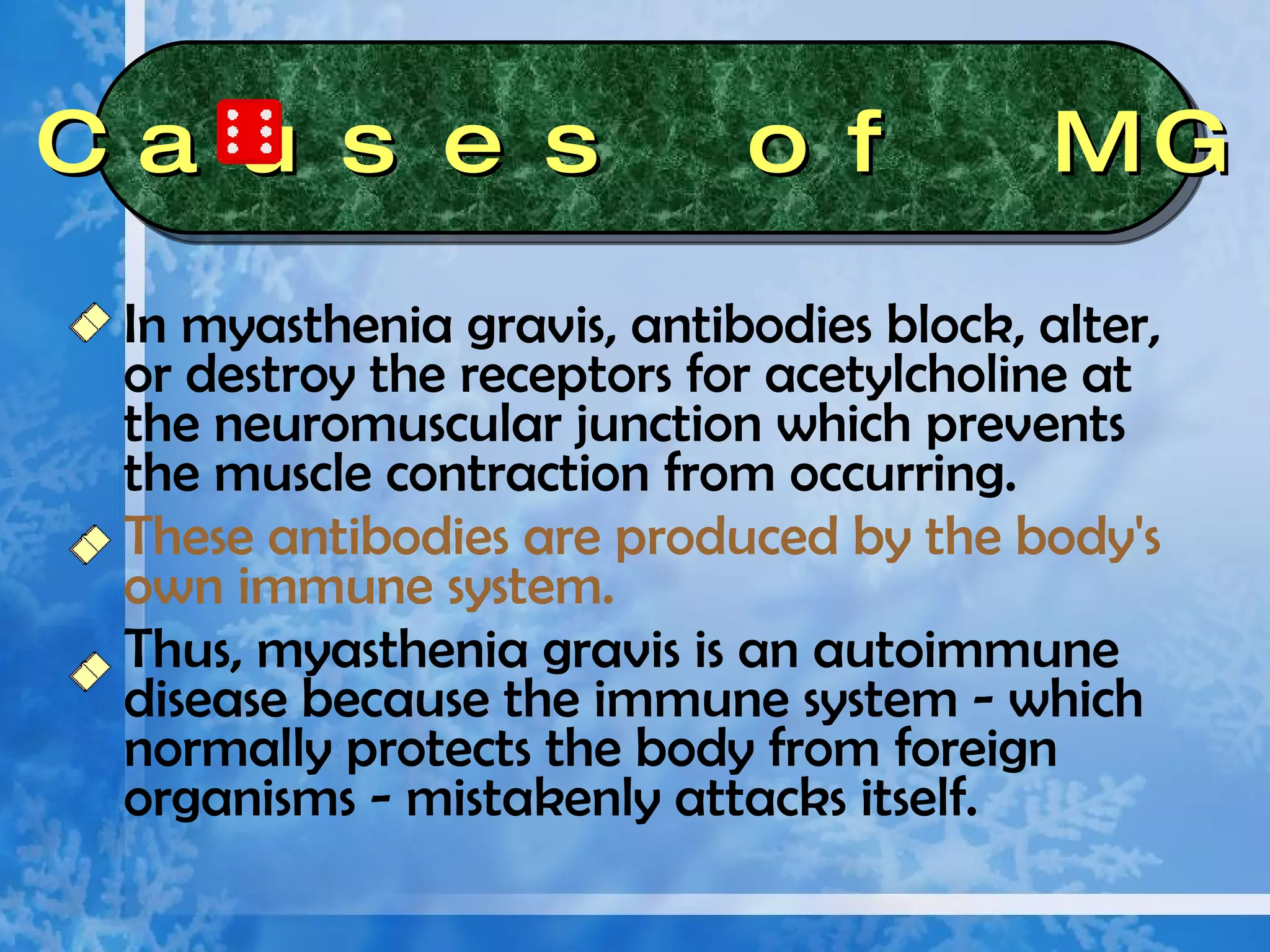 In myasthenia gravis, antibodies block, alter, or destroy the receptors for acetylcholine at the neuromuscular junction which prevents the muscle contraction from occurring.  These antibodies are produced by the body's own immune system.   Thus, myasthenia gravis is an autoimmune disease because the immune system - which normally protects the body from foreign organisms - mistakenly attacks itself.  Causes of MG 