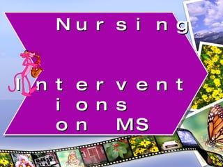 Nursing  Interventions  on MS 
