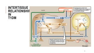 INTERTISSUE
RELATIONSHIP
IN
T1DM
17
 