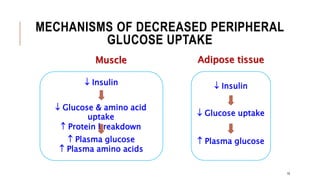 MECHANISMS OF DECREASED PERIPHERAL
GLUCOSE UPTAKE
19
Muscle Adipose tissue
 Insulin
 Glucose & amino acid
uptake
 Protein breakdown
 Plasma glucose
 Plasma amino acids
 Insulin
 Glucose uptake
 Plasma glucose
 