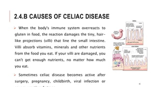 2.4.B CAUSES OF CELIAC DISEASE
 When the body's immune system overreacts to
gluten in food, the reaction damages the tiny, hair-
like projections (villi) that line the small intestine.
Villi absorb vitamins, minerals and other nutrients
from the food you eat. If your villi are damaged, you
can't get enough nutrients, no matter how much
you eat.
 Sometimes celiac disease becomes active after
surgery, pregnancy, childbirth, viral infection or
42
 