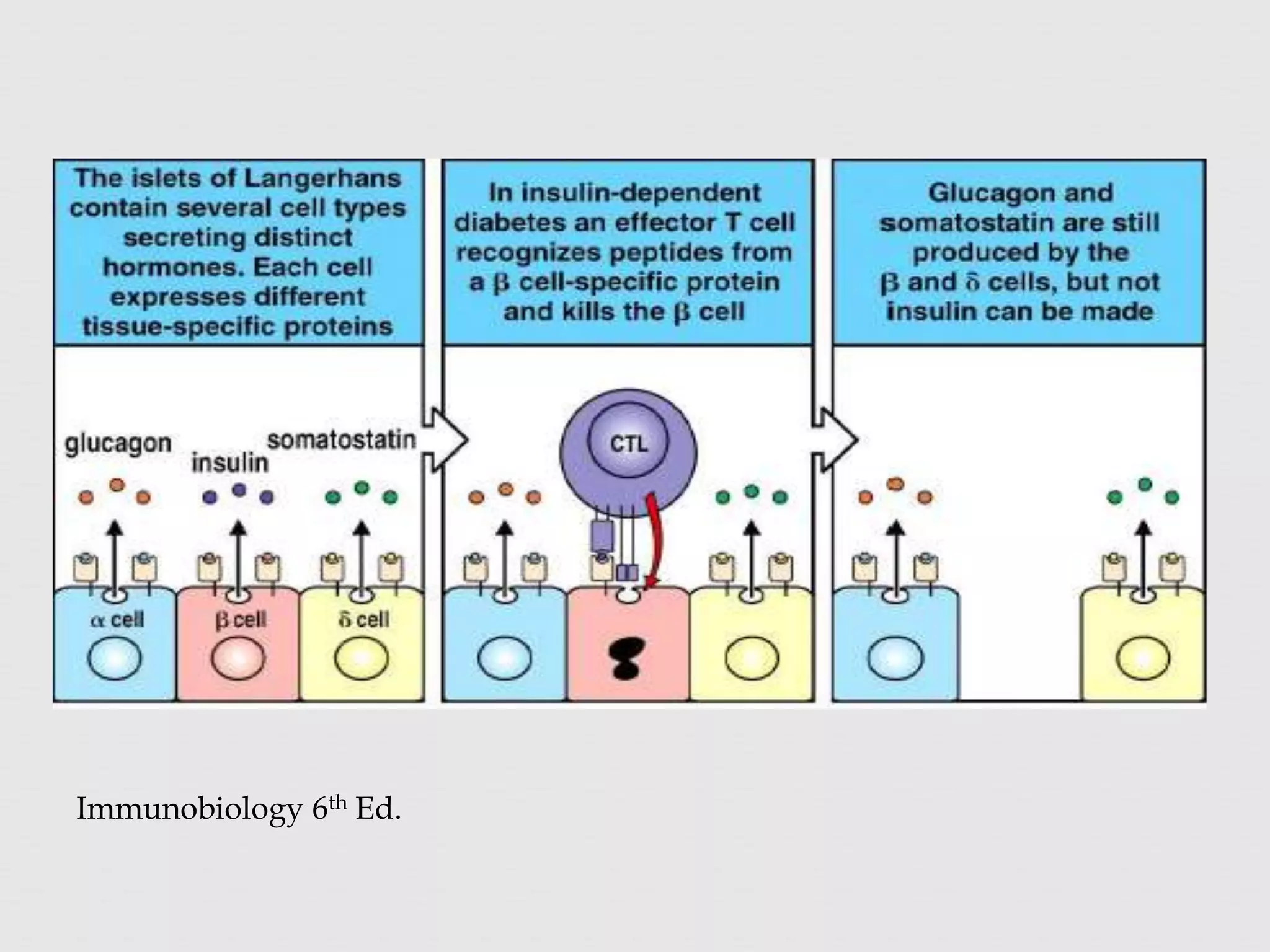 Immunobiology 6th Ed.
 