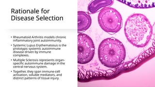Comprehensive Overview of Autoimmune Disorders and Pharmacological ...