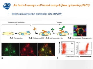 Ab tests & assays: cell based assay & flow cytometry (FACS)
Jo Caekebeke
• Target Ag is expressed in mammalian cells (HEK293)
 