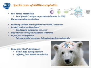 Special cases of NMDA encephalitis
Jo Caekebeke
• Post herpes encephalitis
• As a “pseudo” relapse or persistent disorder (in 20%)
• During mycoplasma infection
• Following Guillain Barré syndrome and NMO spectrum
• In a MS patient on fingolimod
• Overlapping syndromes can occur
• May mimic neuroleptic malignant syndrome
• In postpartum psychosis
• Extrapyramidal symptoms following low-dose haloperidol
• Polar bear “Knut” (Berlin Zoo):
• died in 2011 during a seizure
• suffering from NMDA encephalitis
 
