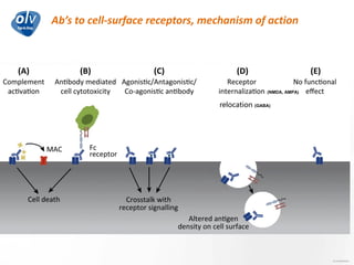Ab’s to cell-surface receptors, mechanism of action
Jo Caekebeke
(NMDA, AMPA)
relocation (GABA)
 