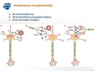 Autoimmune encephalopathy
Jo Caekebeke
a. Ab to intracellular Ag
b. Ab to intracellular presynaptic antigens
c. Ab to cell-surface receptors
 