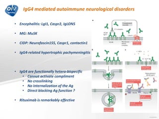 IgG4 mediated autoimmune neurological disorders
Jo Caekebeke
• Encephalitis: LgI1, Caspr2, IgLON5
• MG: MuSK
• CIDP: Neurofascin155, Caspr1, contactin1
• IgG4-related hypertrophic pachymeningitis
• IgG4 are functionally hetero-bispecific
• Cannot activate compliment
• No crosslinking
• No internalization of the Ag
• Direct blocking Ag function ?
• Rituximab is remarkably effective
 