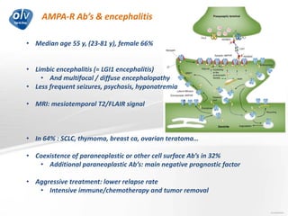 AMPA-R Ab’s & encephalitis
Jo Caekebeke
• Median age 55 y, (23-81 y), female 66%
• Limbic encephalitis (≈ LGI1 encephalitis)
• And multifocal / diffuse encephalopathy
• Less frequent seizures, psychosis, hyponatremia
• MRI: mesiotemporal T2/FLAIR signal
• In 64% : SCLC, thymoma, breast ca, ovarian teratoma…
• Coexistence of paraneoplastic or other cell surface Ab’s in 32%
• Additional paraneoplastic Ab’s: main negative prognostic factor
• Aggressive treatment: lower relapse rate
• Intensive immune/chemotherapy and tumor removal
 