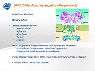 DPPX (DPP6, dipeptidyl-peptidase-like protein 6)
Jo Caekebeke
• Weight loss, diarrhea…
• Memory deficit
• Central hyperexcitability :
• Hyperekplexia
• Agitation
• Myoclonus
• Tremor
• Seizures
• PERM: progressive encephalomyelitis with rigidity and myoclonus
• Predominant brainstem and spinal cord dysfunction
• Exaggerated startle response, hyperekplexia
• Immunotherapy responsive, often relapse when immunotherapy is tapered
• A subunit of Kv4.2 potassium channel
 