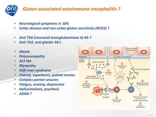 Gluten associated autoimmune encephalitis ?
Jo Caekebeke
• Neurological symptoms in 10%
• Celiac disease and non-celiac gluten sensitivity (NCGS) ?
• Anti TG6 (neuronal transglutaminase 6) Ab ?
• Anti TG2, anti gliadin Ab’s
• Ataxia
• Polyneuropathy
• ALS like
• Myopathy
• Stiff-man syndrome
• Chorea, myoclonus, palatal tremor
• Complex partial seizures
• Fatigue, anxiety, depression
• Hallucinations, psychosis
• ADHD ?
 