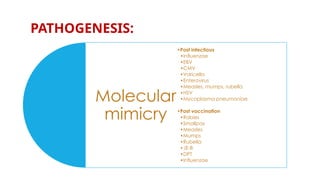 PATHOGENESIS:
Molecular
mimicry
•Post infectious
•Influenzae
•EBV
•CMV
•Varicella
•Enterovirus
•Measles, mumps, rubella
•HSV
•Mycoplasma pneumoniae
•Post vaccination
•Rabies
•Smallpox
•Measles
•Mumps
•Rubella
•JE-B
•DPT
•Influenzae
 