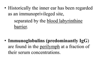 • Historically the inner ear has been regarded
as an immunoprivileged site,
separated by the blood labyrinthine
barrier.
• Immunoglobulins (predominantly IgG)
are found in the perilymph at a fraction of
their serum concentrations.
 