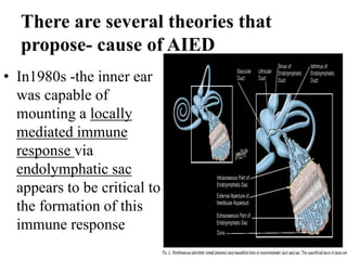 There are several theories that
propose- cause of AIED
• In1980s -the inner ear
was capable of
mounting a locally
mediated immune
response via
endolymphatic sac
appears to be critical to
the formation of this
immune response
 