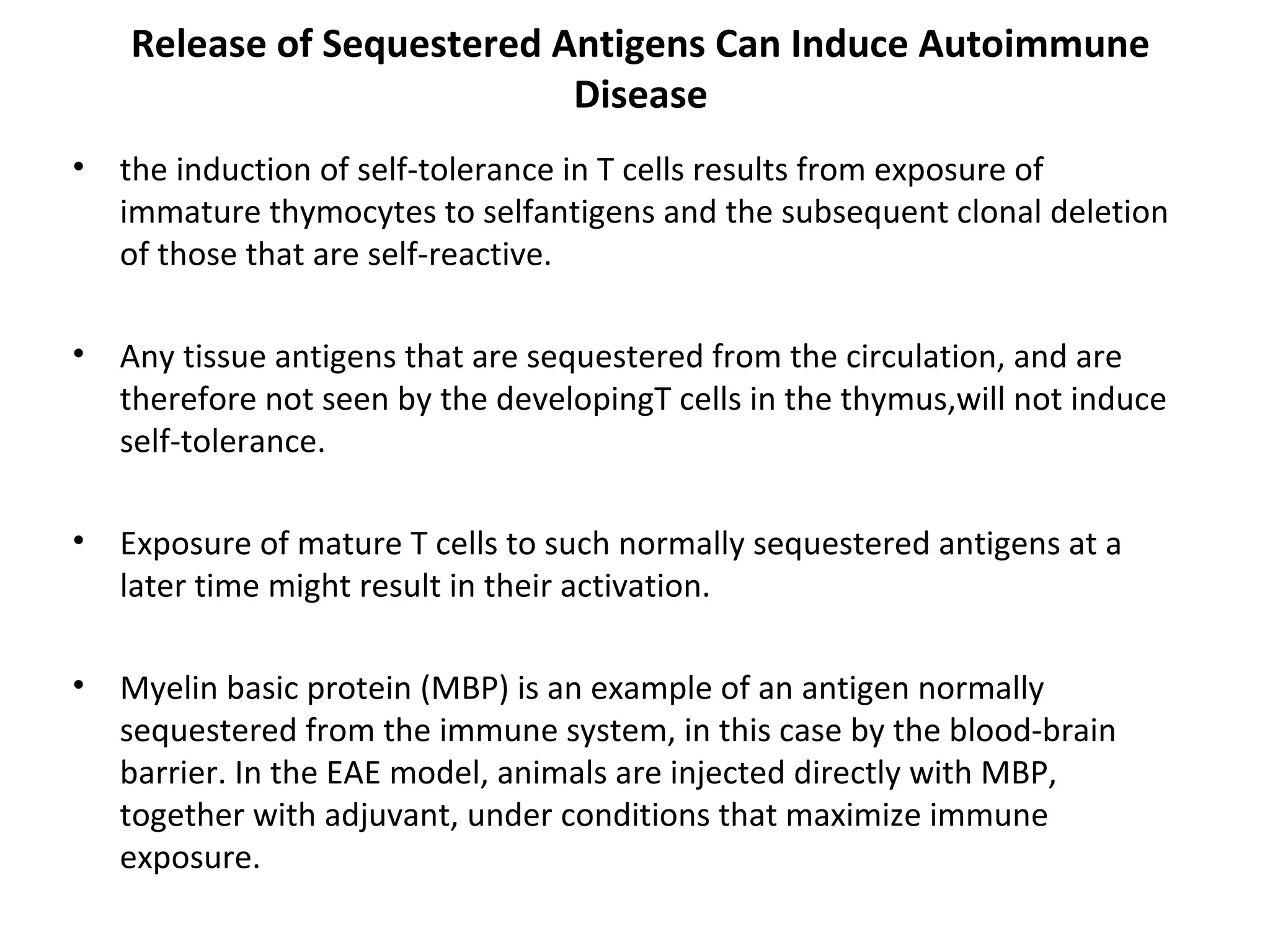 Release of Sequestered Antigens Can Induce Autoimmune
Disease
• the induction of self-tolerance in T cells results from exposure of
immature thymocytes to selfantigens and the subsequent clonal deletion
of those that are self-reactive.
• Any tissue antigens that are sequestered from the circulation, and are
therefore not seen by the developingT cells in the thymus,will not induce
self-tolerance.
• Exposure of mature T cells to such normally sequestered antigens at a
later time might result in their activation.
• Myelin basic protein (MBP) is an example of an antigen normally
sequestered from the immune system, in this case by the blood-brain
barrier. In the EAE model, animals are injected directly with MBP,
together with adjuvant, under conditions that maximize immune
exposure.
 
