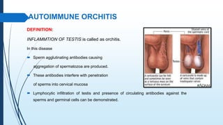 Autoimmunity | PPTX