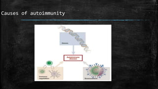 Causes of autoimmunity
 