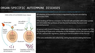 ORGAN-SPECIFIC AUTOIMMUNE DISEASES
•Production of thyroid hormones is regulated by thyroid-stimulating
hormones (TSH)
•The binding ofTSH to a receptor on thyroid cells activates adenylate cyclase
and stimulates the synthesis of two thyroid hormones: thyroxine and
triiodothyronine
•A person with Grave’s Disease makes auto-antibodies to the receptor forTSH.
The binding of these auto-antibodies to the receptor mimics the normal action
ofTSH, without the regulation, leading to overstimulation of the thyroid
•The auto-antibodies are called long- acting thyroid stimulating hormones
 