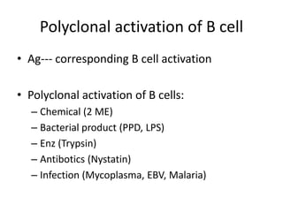 Polyclonal activation of B cell
• Ag--- corresponding B cell activation
• Polyclonal activation of B cells:
– Chemical (2 ME)
– Bacterial product (PPD, LPS)
– Enz (Trypsin)
– Antibotics (Nystatin)
– Infection (Mycoplasma, EBV, Malaria)
 