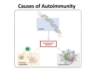 Causes of Autoimmunity
 