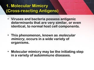 1. Molecular Mimicry
1. Molecular Mimicry
(Cross-reacting Antigens)
(Cross-reacting Antigens)
• Viruses and bacteria possess antigenic
determinants that are very similar, or even
identical, to normal host cell components.
• This phenomenon, known as molecular
mimicry, occurs in a wide variety of
organisms.
• Molecular mimicry may be the initiating step
in a variety of autoimmune diseases.
 