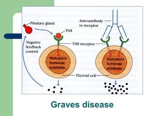 Comprehensive Overview of Autoimmune Diseases: Mechanisms ...