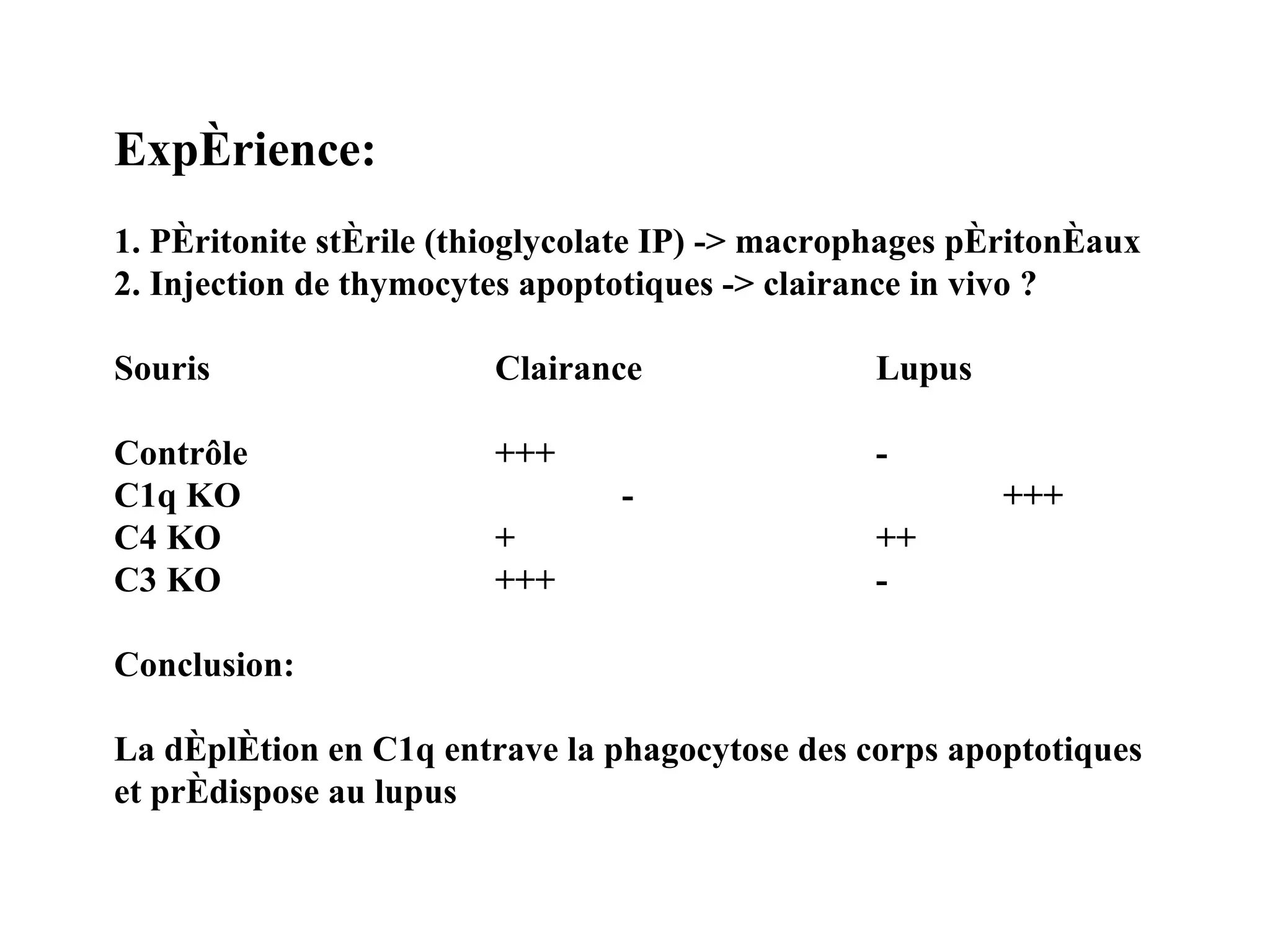 Expérience: 1. Péritonite stérile (thioglycolate IP) -> macrophages péritonéaux 2. Injection de thymocytes apoptotiques -> clairance in vivo ?  Souris Clairance Lupus Contrôle +++ - C1q KO - +++ C4 KO + ++ C3 KO +++ - Conclusion: La déplétion en C1q entrave la phagocytose des corps apoptotiques  et prédispose au lupus 