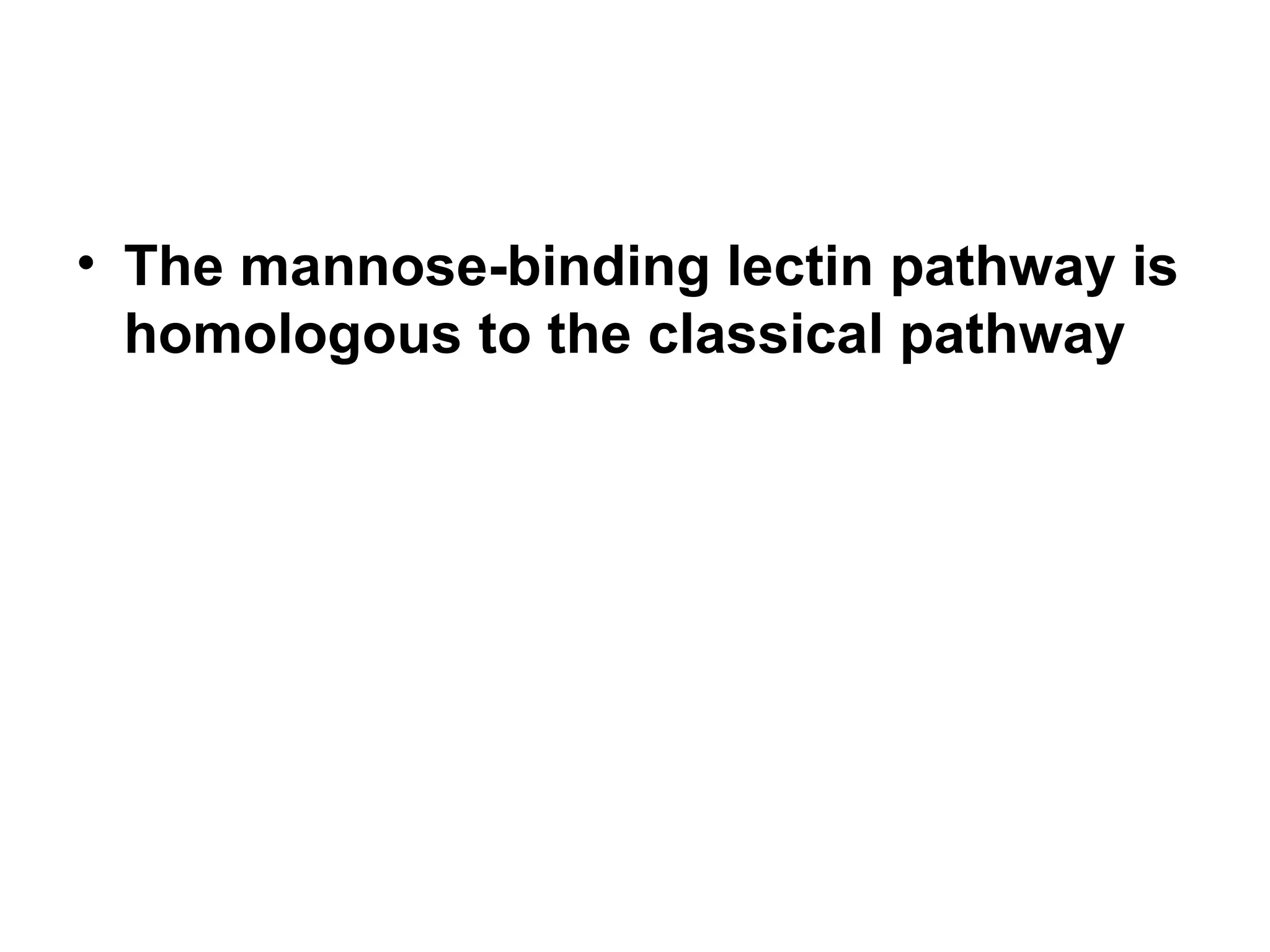 The mannose-binding lectin pathway is homologous to the classical pathway 
