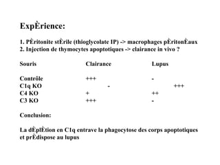 Expérience: 1. Péritonite stérile (thioglycolate IP) -> macrophages péritonéaux 2. Injection de thymocytes apoptotiques -> clairance in vivo ?  Souris Clairance Lupus Contrôle +++ - C1q KO - +++ C4 KO + ++ C3 KO +++ - Conclusion: La déplétion en C1q entrave la phagocytose des corps apoptotiques  et prédispose au lupus 