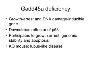 Gadd45a deficiency Growth-arrest and DNA damage-inducible gene Downstream effector of p53 Participates to growth arrest, genomic stability and apoptosis KO mouse: lupus-like disease 
