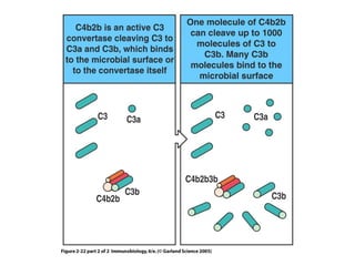 Figure 2-22 part 2 of 2 