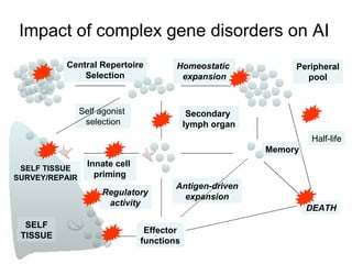 Impact of complex gene disorders on AI Central Repertoire Selection Homeostatic  expansion Half-life Self agonist  selection Antigen-driven expansion Innate cell  priming Secondary  lymph organ Effector functions DEATH SELF TISSUE SELF TISSUE SURVEY/REPAIR Peripheral pool Regulatory activity Memory 