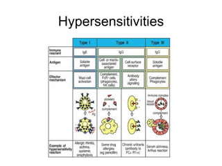 Hypersensitivities 