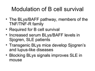Modulation of B cell survival The BLys/BAFF pathway, members of the TNF/TNF-R family Required for B cell survival Increased serum BLys/BAFF levels in Sjogren, SLE patients Transgenic BLys mice develop Sjogren’s and lupus-like diseases Blocking BLys signals improves SLE in mouse 