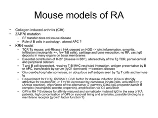 Mouse models of RA Collagen-induced arthritis (CIA) ZAP70 mutation RF transfer does not cause disease Role of B cells in pathology : altered APC ? KRN model TCR Tg mouse: anti-RNase / I-Ak crossed on NOD -> joint inflammation, synovitis, infiltration (neutrophils ++, few T/B cells), cartilage and bone resorption; no RF, vast IgG deposits in many organs on basal membranes Essential contribution of H-2 g7  (disease in B6 g7 ), alloreactivity of the Tg TCR, partial central and peripheral deletion T and B cell dependent, requires T-B MHC restricted interaction, antigen presentation by B or APC, transferable by serum (IgG1 dominant) -> transient disease Glucose-6-phosphate isomerase, an ubiquitous self antigen seen by Tg T cells and immune Ig Requirement for FcR  , C5/C5aR, C3/B factor for disease induction (C5a is strongly attractive for neutrophils) -> Fc  RIII expressed by numerous innate cells, activated by Ig (Arthus reaction), importance of the alternative C’ pathway C3b2-IgG-properdin-factor B complex (neutrophils secrete properdin), amplification via C5 activation GPI in RA ? Evidence for affinity matured and somatically mutated IgG in the sera of RA patients, high concentration of GPI on synovial lining and arterioles, possible binding to a membrane receptor (growth factor function ?) 