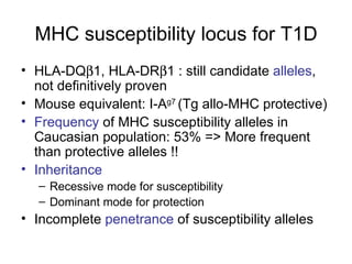 MHC susceptibility locus for T1D HLA-DQ  1, HLA-DR  1 : still candidate  alleles , not definitively proven Mouse equivalent: I-A g7  (Tg allo-MHC protective)  Frequency  of MHC susceptibility alleles in Caucasian population: 53% => More frequent than protective alleles !! Inheritance   Recessive mode for susceptibility Dominant mode for protection Incomplete  penetrance  of susceptibility alleles 