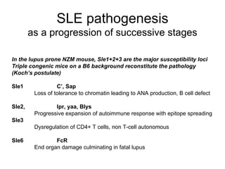 SLE pathogenesis as a progression of successive stages In the lupus prone NZM mouse, Sle1+2+3 are the major susceptibility loci Triple congenic mice on a B6 background reconstitute the pathology  (Koch’s postulate) Sle1 C’, Sap Loss of tolerance to chromatin leading to ANA production, B cell defect Sle2,  lpr, yaa, Blys Progressive expansion of autoimmune response with epitope spreading Sle3 Dysregulation of CD4+ T cells, non T-cell autonomous Sle6 FcR End organ damage culminating in fatal lupus 
