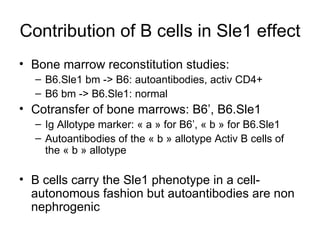 Contribution of B cells in Sle1 effect Bone marrow reconstitution studies:  B6.Sle1 bm -> B6: autoantibodies, activ CD4+ B6 bm -> B6.Sle1: normal Cotransfer of bone marrows: B6’, B6.Sle1 Ig Allotype marker: « a » for B6’, « b » for B6.Sle1 Autoantibodies of the « b » allotype Activ B cells of the « b » allotype  B cells carry the Sle1 phenotype in a cell-autonomous fashion but autoantibodies are non nephrogenic 