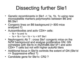 Dissecting further Sle1 Genetic recombinants in Sle1 -> 1a, 1b, 1c using new microsatellite markers polymorphic between B6 and B6.Sle1 Congenic lines on B6 background (> 800 mice analysed !!) Autoantibodies and activ CD4+ cells:  1b > 1a and 1c  1a + 1b = 1a + 1b + 1c = WT Sle1 Nephrogenic Ab ? : cross Sle1 congenic mice on the NZW background and analyse proliferative GN: GN correlates with Sle1b in (NZWxB6.Sle1)F1 and activ CD4+ T cells but not with higher autoAb titers Additional locus in Sle1b controls the extent of GN (Sle1d => Suppressive effect ?) Candidate gene for Sle1c: CR2 ? 