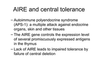 AIRE and central tolerance Autoimmune polyendocrine syndrome (APS-1): a multiple attack against endocrine organs, skin and other tissues The AIRE gene controls the expression level of several promiscuously expressed antigens in the thymus Lack of AIRE leads to impaired tolerance by failure of central deletion 