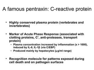 A famous pentraxin: C-reactive protein Highly conserved plasma protein (vertebrates and invertebrates) Marker of Acute Phase Response (associated with clotting proteins, C’, anti-proteases, transport protein) Plasma concentration increased by inflammation (x > 1000), induced by IL-6, IL-1  (via C/EBP) Produced mainly by hepatocytes (  g/ml range) Recognition molecule for patterns exposed during cell death and on pathogen surfaces 