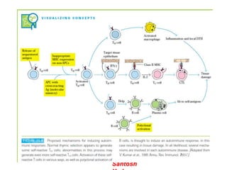 Autoimmunity | PPTX