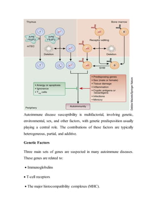 Autoimmune disease susceptibility is multifactorial, involving genetic,
environmental, sex, and other factors, with genetic predisposition usually
playing a central role. The contributions of these factors are typically
heterogeneous, partial, and additive.
Genetic Factors
Three main sets of genes are suspected in many autoimmune diseases.
These genes are related to:
 Immunoglobulins
 T-cell receptors
 The major histocompatibility complexes (MHC).
 