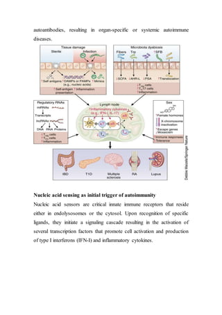 autoantibodies, resulting in organ-specific or systemic autoimmune
diseases.
Nucleic acid sensing as initial trigger of autoimmunity
Nucleic acid sensors are critical innate immune receptors that reside
either in endolysosomes or the cytosol. Upon recognition of specific
ligands, they initiate a signaling cascade resulting in the activation of
several transcription factors that promote cell activation and production
of type I interferons (IFN-I) and inflammatory cytokines.
 