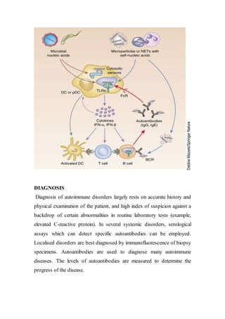 DIAGNOSIS
Diagnosis of autoimmune disorders largely rests on accurate history and
physical examination of the patient, and high index of suspicion against a
backdrop of certain abnormalities in routine laboratory tests (example,
elevated C-reactive protein). In several systemic disorders, serological
assays which can detect specific autoantibodies can be employed.
Localised disorders are best diagnosed by immunofluorescence of biopsy
specimens. Autoantibodies are used to diagnose many autoimmune
diseases. The levels of autoantibodies are measured to determine the
progress of the disease.
 