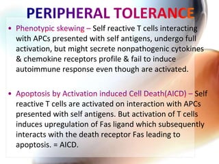 Self reactive T cells interacting
with APCs presented with self antigens, undergo full
activation, but might secrete nonpathogenic cytokines
& chemokine receptors profile & fail to induce
autoimmune response even though are activated.
Self
reactive T cells are activated on interaction with APCs
presented with self antigens. But activation of T cells
induces upregulation of Fas ligand which subsequently
interacts with the death receptor Fas leading to
apoptosis. = AICD.
 