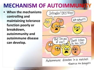 • When the mechanisms
controlling and
maintaining tolerance
function poorly or
breakdown,
autoimmunity and
autoimmune disease
can develop.
 